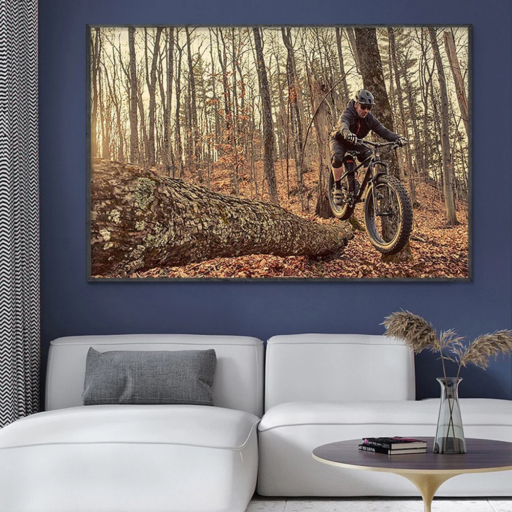 SP082 Silk Cloth Wall Poster M - Mountain Biking Movies recension och pris