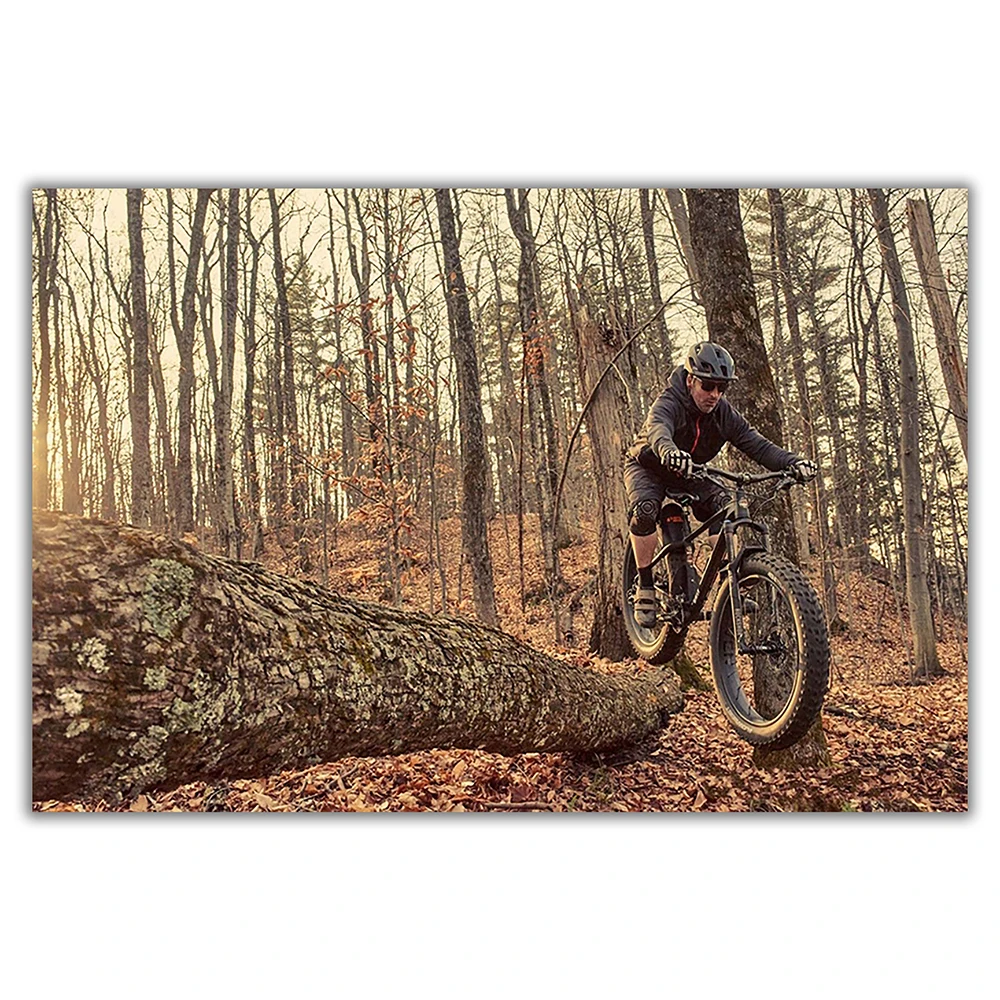 SP082 Silk Cloth Wall Poster M - Mountain Biking Movies recension och pris